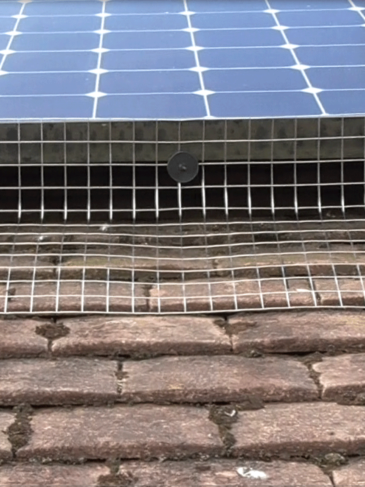 Bird Proofing